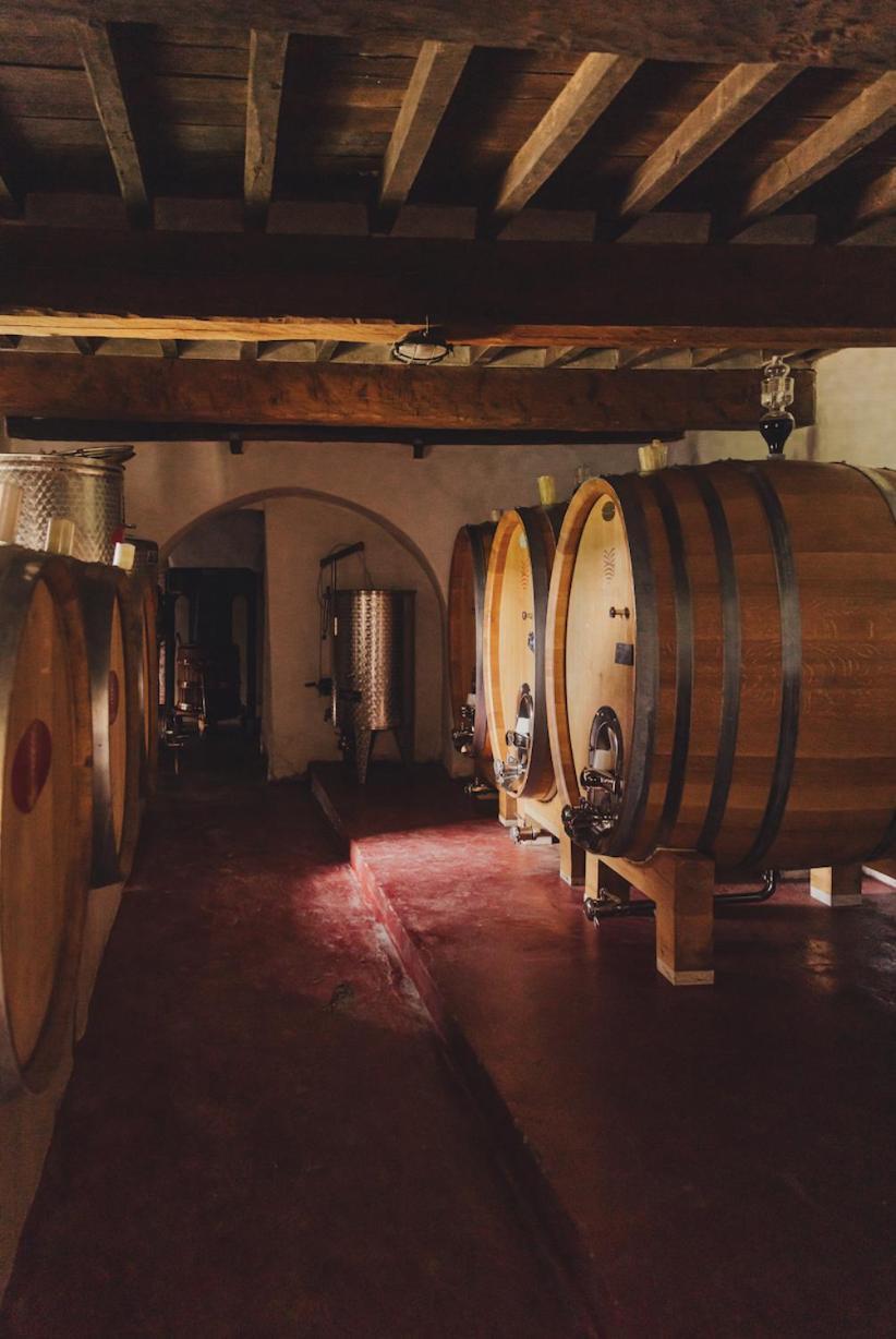 Tregole Apartment Castellina in Chianti Exterior photo