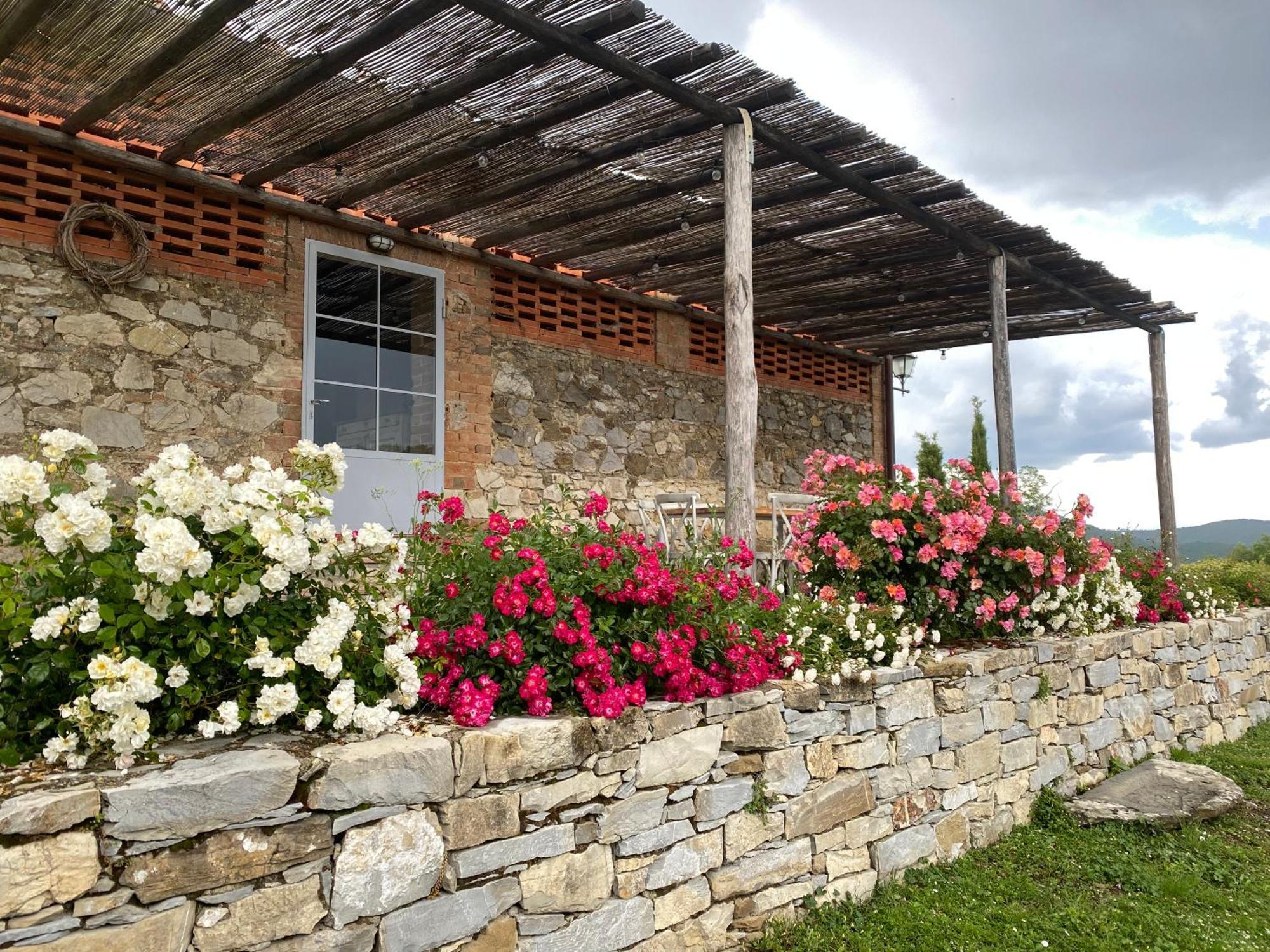Tregole Apartment Castellina in Chianti Exterior photo
